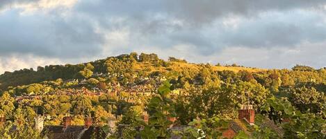A hillside village with traditional houses, dense greenery, and a cloudy sky.