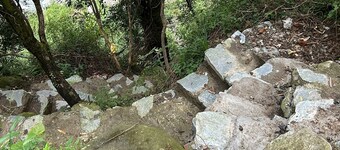 Dhauladhar Inn