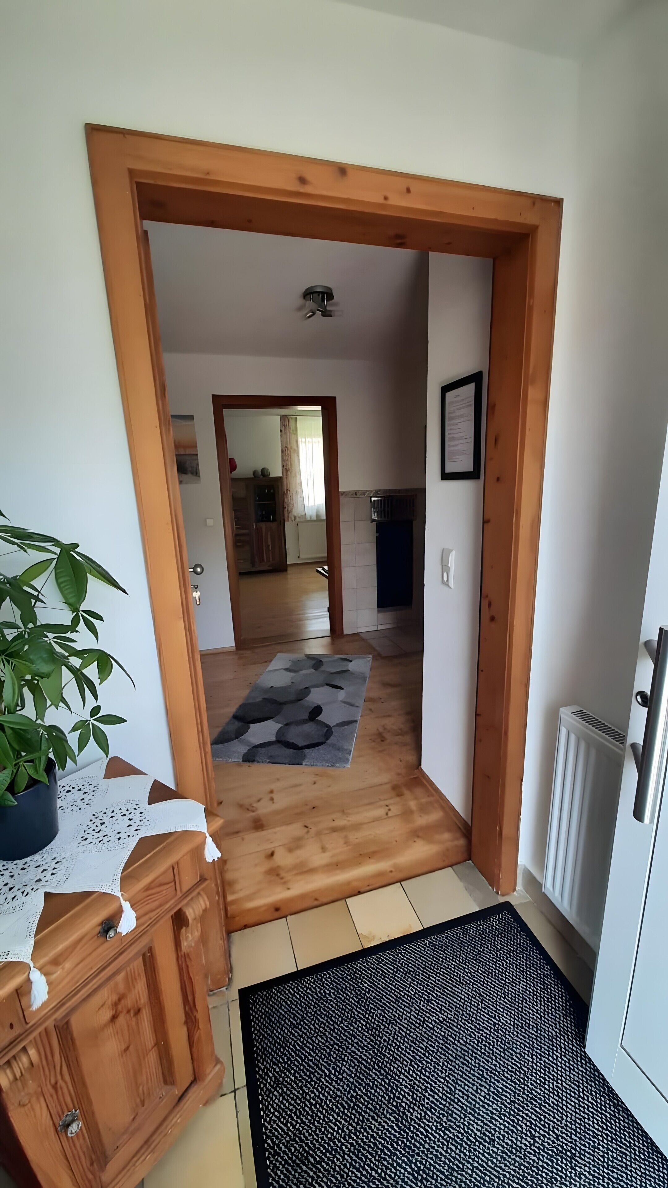 A hallway with a wooden door frame, a potted plant, a wooden dresser, a patterned rug, and a radiator.