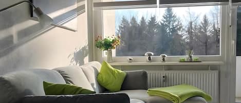 Televisión, videojuegos, mesa de ping pong