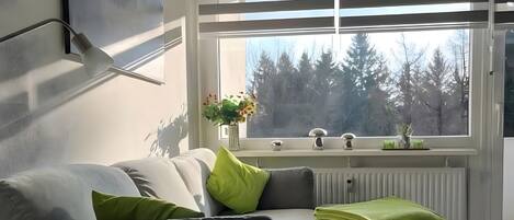 TV, video games, ping pong, books