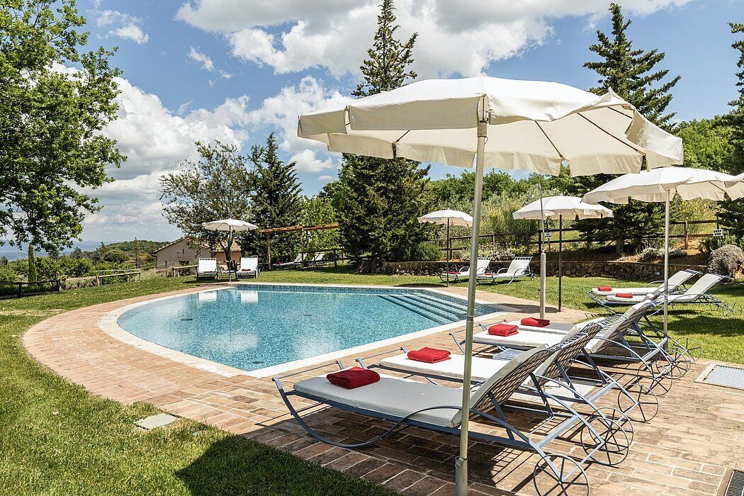 A swimming pool with lounge chairs and umbrellas, surrounded by trees and a clear sky.