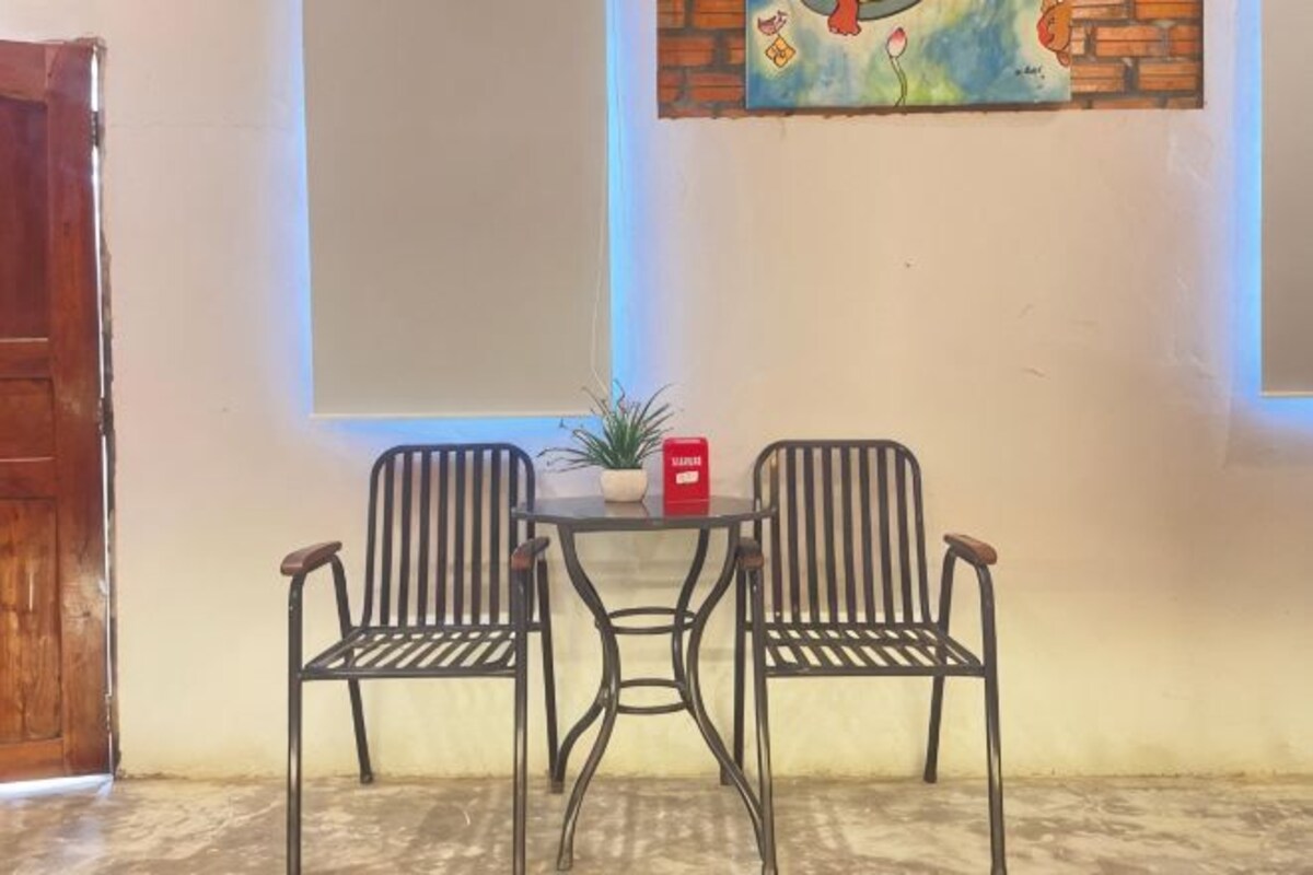 A room with two chairs and a small table, a potted plant, and a red object on the table.