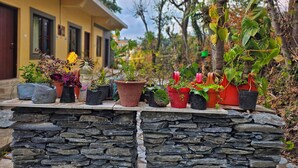 Un mur de pierre agrémenté de plantes en pot, avec un bâtiment jaune en arrière-plan.