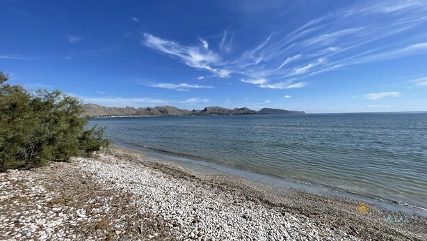 Une plage de galets, avec un ciel dégagé et des montagnes à l'horizon.