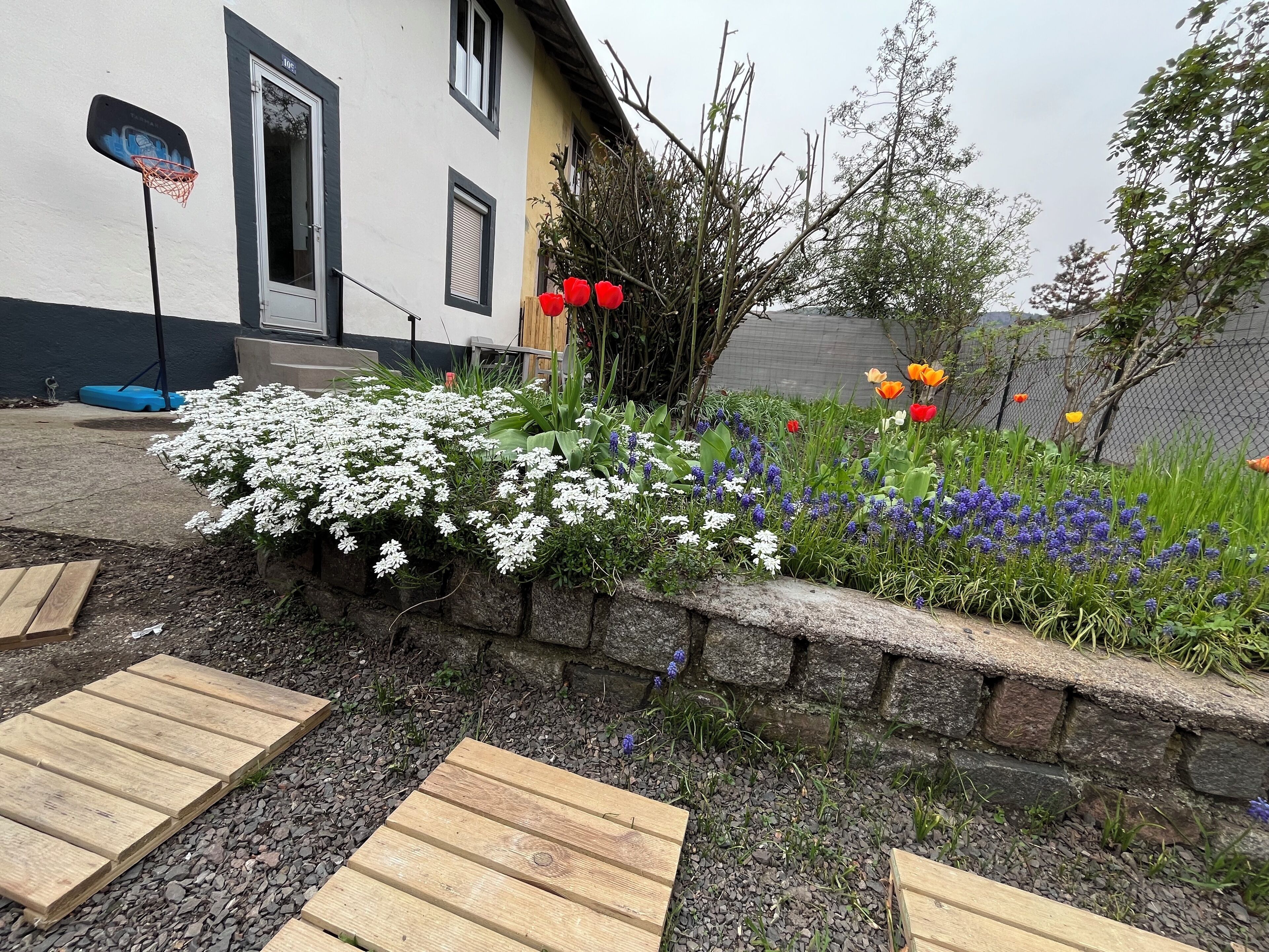 Terrein van de accommodatie