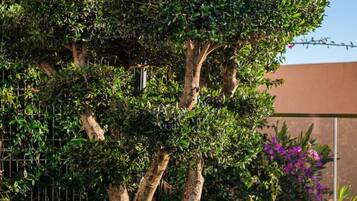 Appartement | 3 slaapkamers