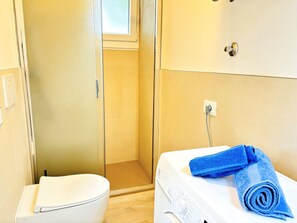 Un bagno con il water, una doccia e una lavatrice.