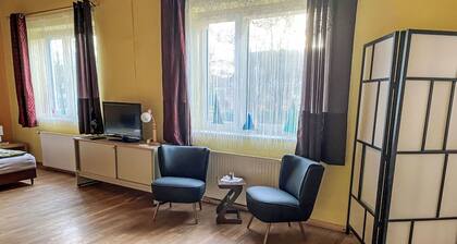 Beautiful apartment for 5 guests with WIFI and pets allowed