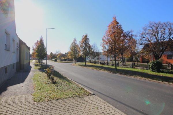 Arbre, Feuille, Surface De La Route, Branche, Route, Zone Résidentielle, Asphalte, Rue, Espace Public, Trottoir