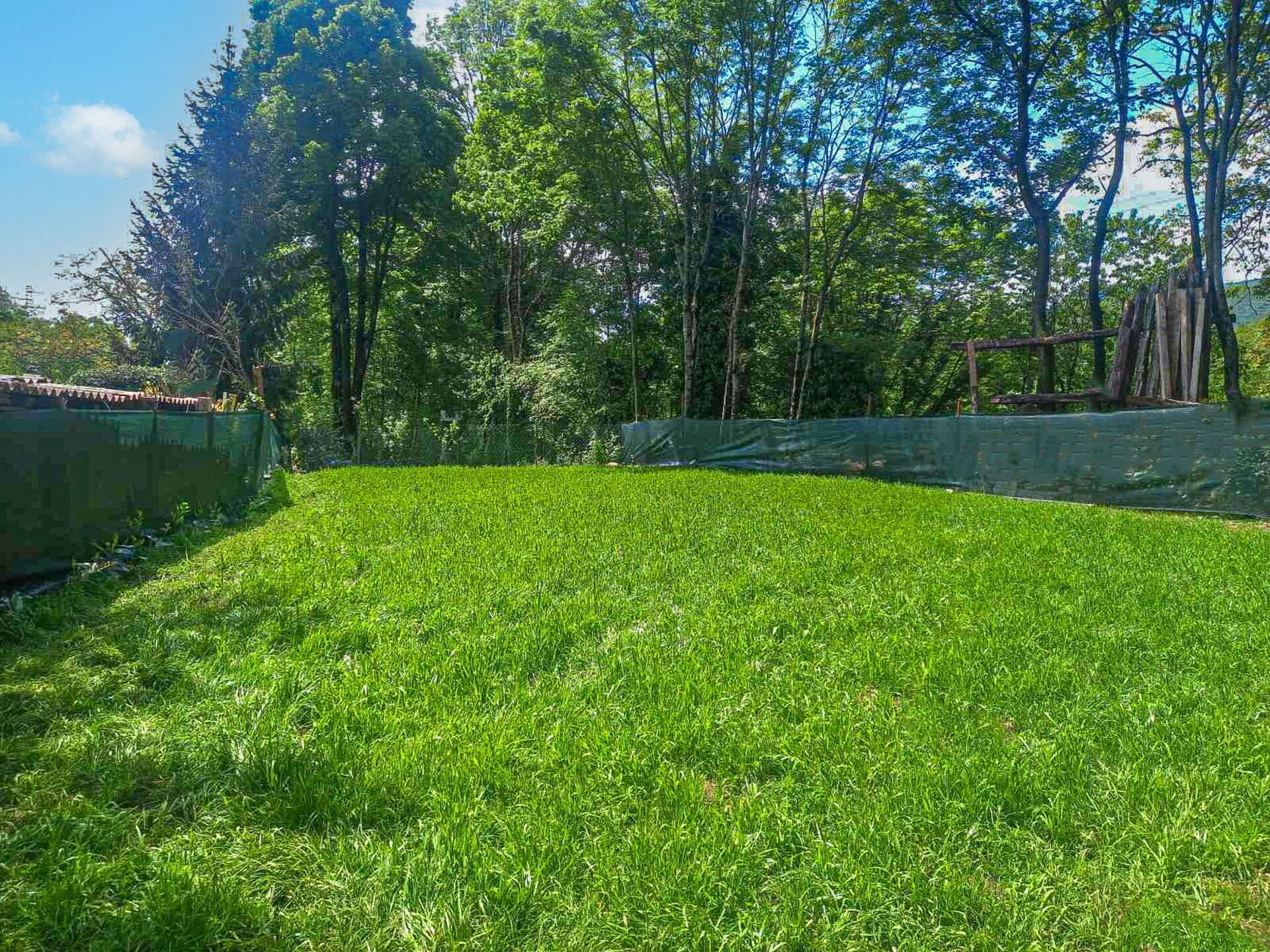 Groen, Gras, Grasland, Land Lot, Gazon, Groundcover, Tuin, De Lente, Pasture