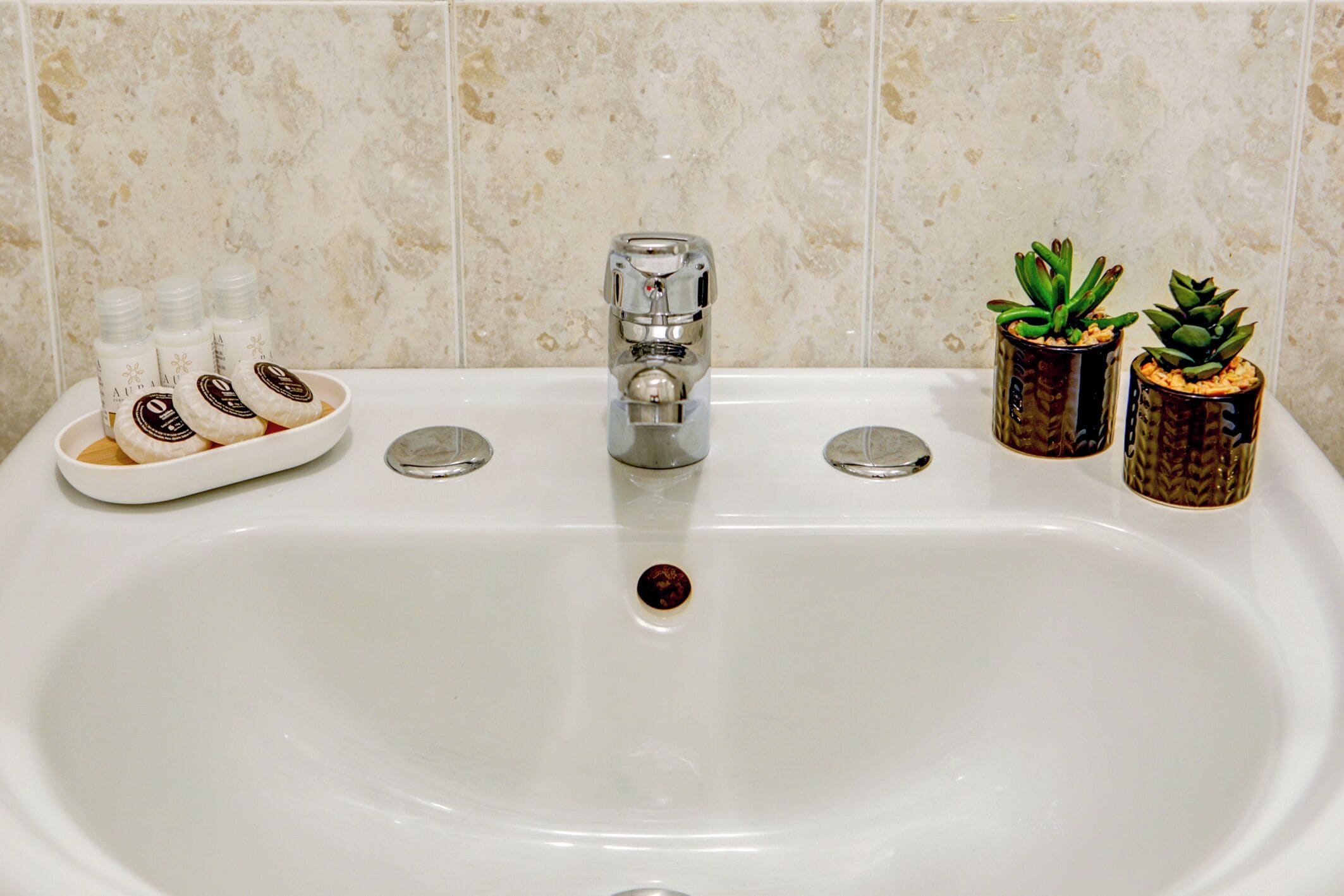 A bathroom sink with a chrome faucet, a soap dish with three bottles, and two potted plants.