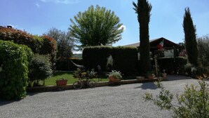 Un giardino curato con diverse piante e una bicicletta parcheggiata in primo piano.