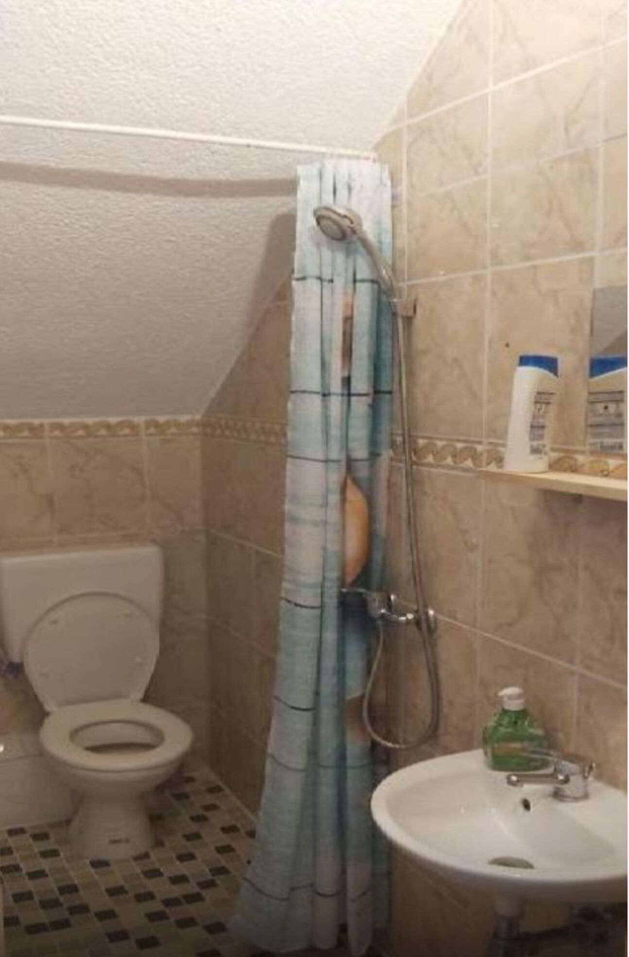 A bathroom with a shower, toilet, and sink.