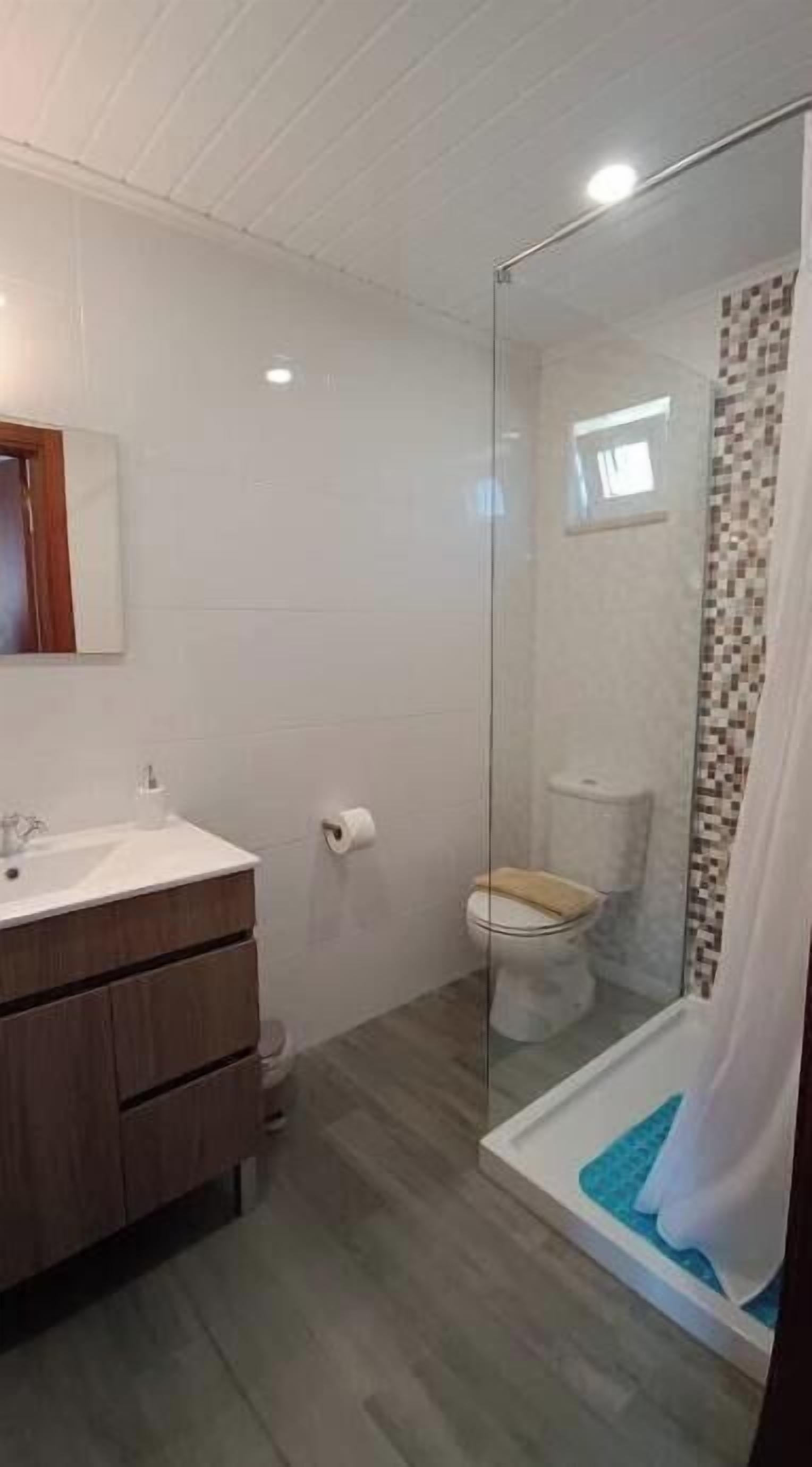 Un baño con cabina de ducha de vidrio, tocador de madera y un inodoro.