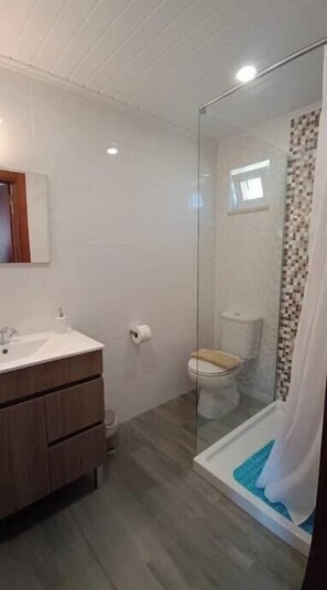 Shower, hair dryer, towels, soap - Casa Machuca with swimming pool (Tomar)