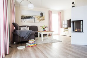 Télévision, cheminée, livres, chaîne hi-fi