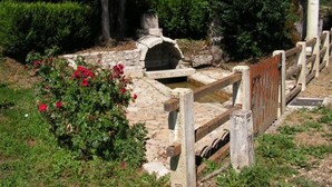 A stone structure with a small water feature, surrounded by greenery and a wooden fence.