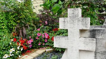 Detalle del exterior