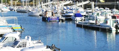 Marina