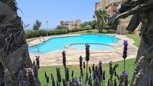 Una piscina envoltada d'una zona verda amb plantes de lavanda.