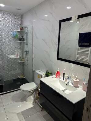 Assecador de cabells, tovalloles, sabó i paper higiènic 