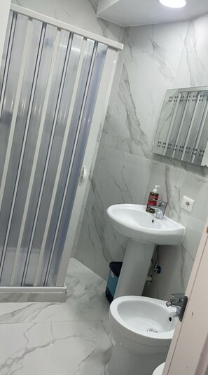 Regadera, secadora de cabello, bidet, toallas