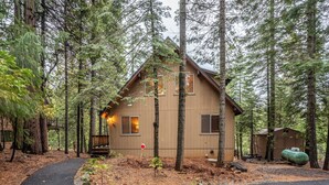 A cabin surrounded by tall trees, with a wooden deck and a small shed nearby.