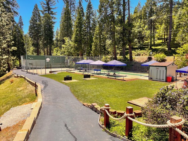 A basketball court with a fence, picnic tables, and a small shed.