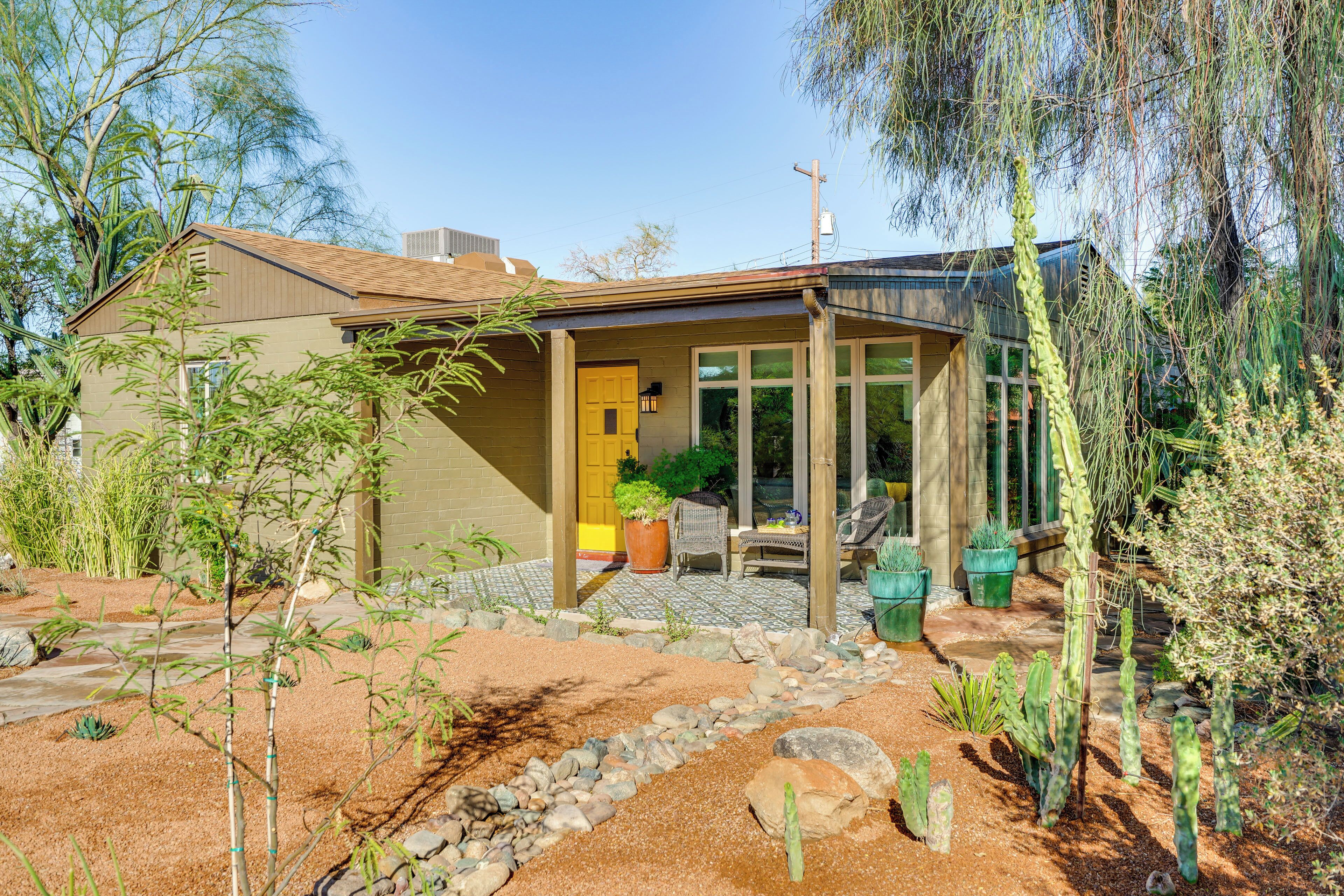 Una casa moderna con patio, rodeada de diversas plantas y cactus.