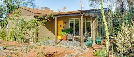 Una casa moderna con patio, rodeada de diversas plantas y cactus.