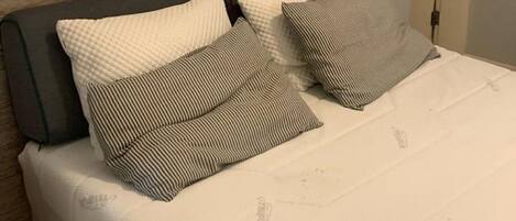 Appartamento | 3 camere, Internet