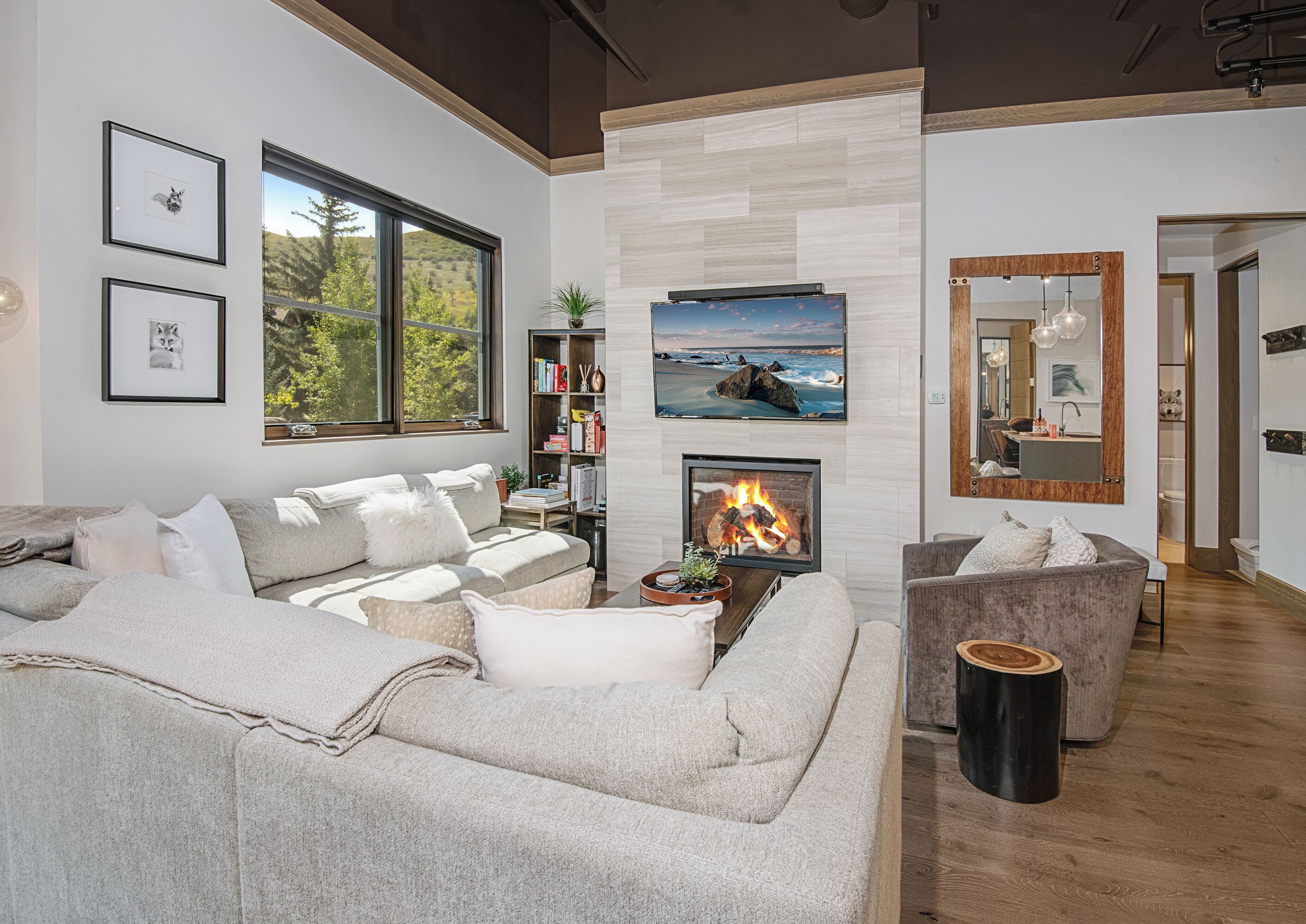 Smart TV, chimenea, libros, estéreo