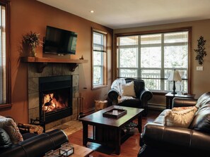 TV, fireplace, DVD player, offices