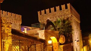 Puerta de piedra de un castillo de noche, con un portón metálico y una palmera en primer plano.