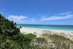 On the beach
