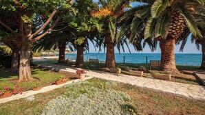 A coastal promenade with palm trees, benches, and flower beds.