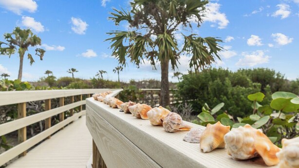 Eine Holzterrasse mit Muscheln, die an der Reling angeordnet sind, mit Blick auf eine Küstenlandschaft mit Palmen und viel Grün.