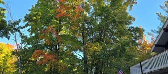 Northern Comfort Chalet with WiFi in Gaylord