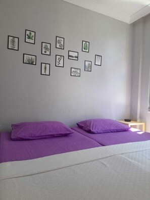 Classic Twin Room | Free WiFi - Firuze Pansiyon (Ayvalik)