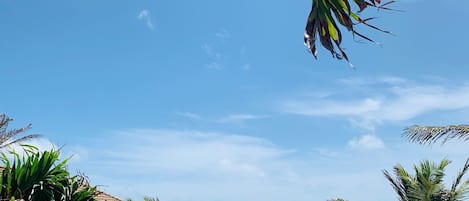 Vista costera con cielo despejado, palmeras y un camino que lleva a la playa.