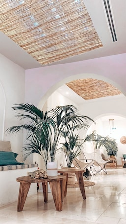A spacious lobby with a high ceiling, a large central plant, a wooden coffee table, and a seating area with a sofa and chairs.