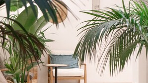 A room with a white arched ceiling, a wooden chair with a blue cushion, a small round table, and several potted plants. - Casa du Soleil Hostal Boutique (Madrid)