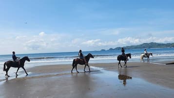 On the beach