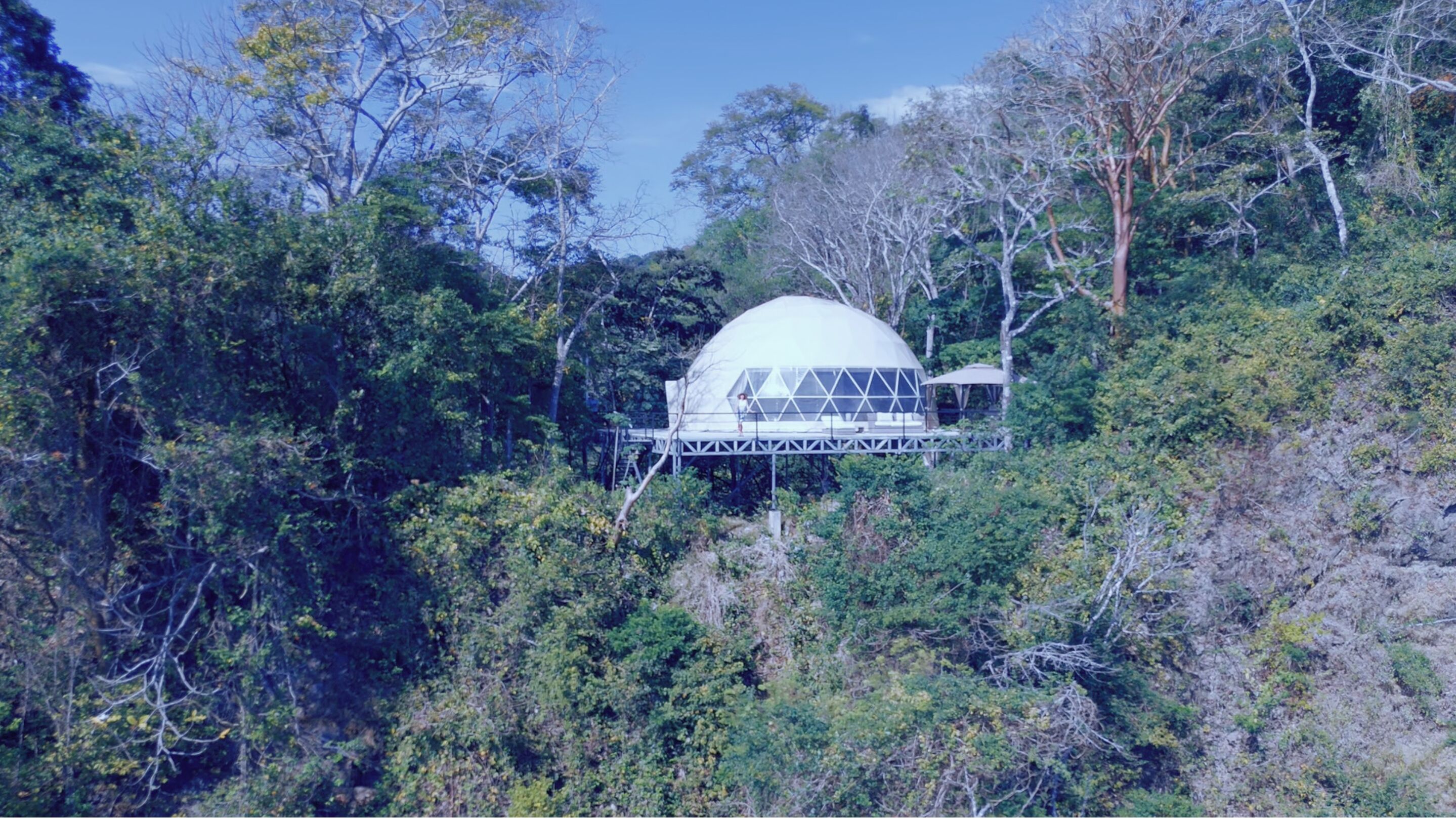 Un edificio de forma abovedada rodeado de un bosque frondoso.