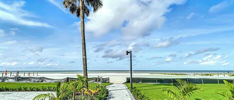 A paved walkway with a palm tree and a view of the ocean.