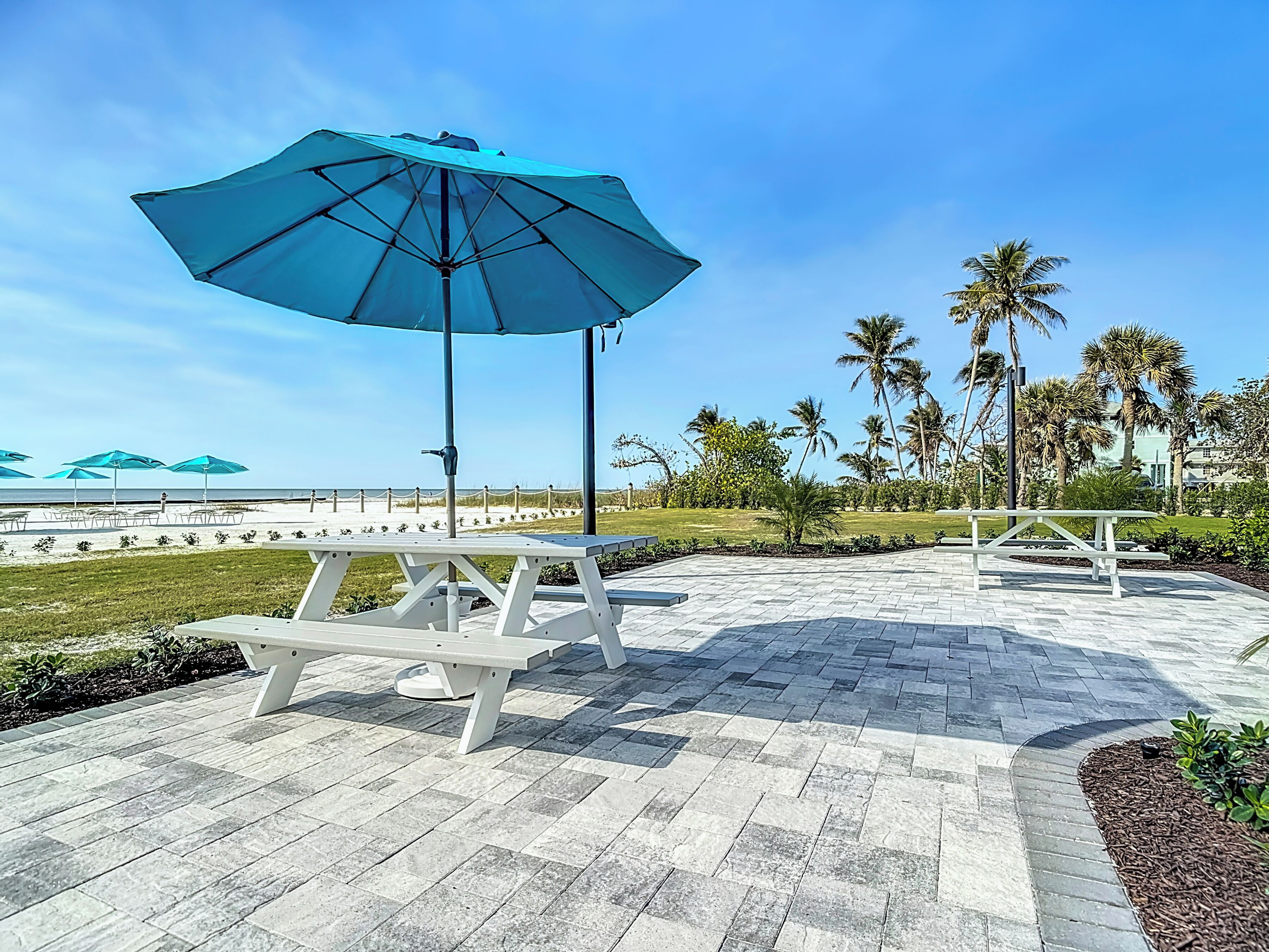 A patio area with picnic tables and umbrellas, surrounded by palm trees and a view of the beach.