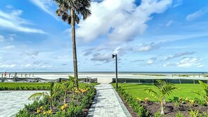 A paved walkway with a palm tree and a view of the ocean.