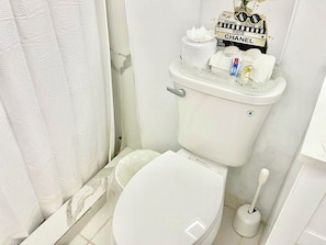Hair dryer, towels, soap, toilet paper