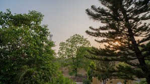 Blick auf einen Garten mit verschiedenen Bäumen und einer Steinmauer im Hintergrund.